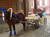 Прогулки в экипаже