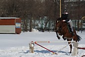 Обучение верховой езде